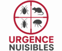 logo de site